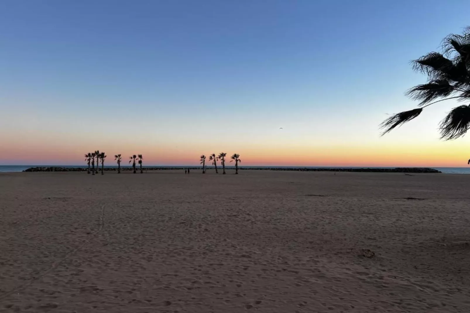 La Dune N°68 - VILLA 4P8-Areas within 1km in summer