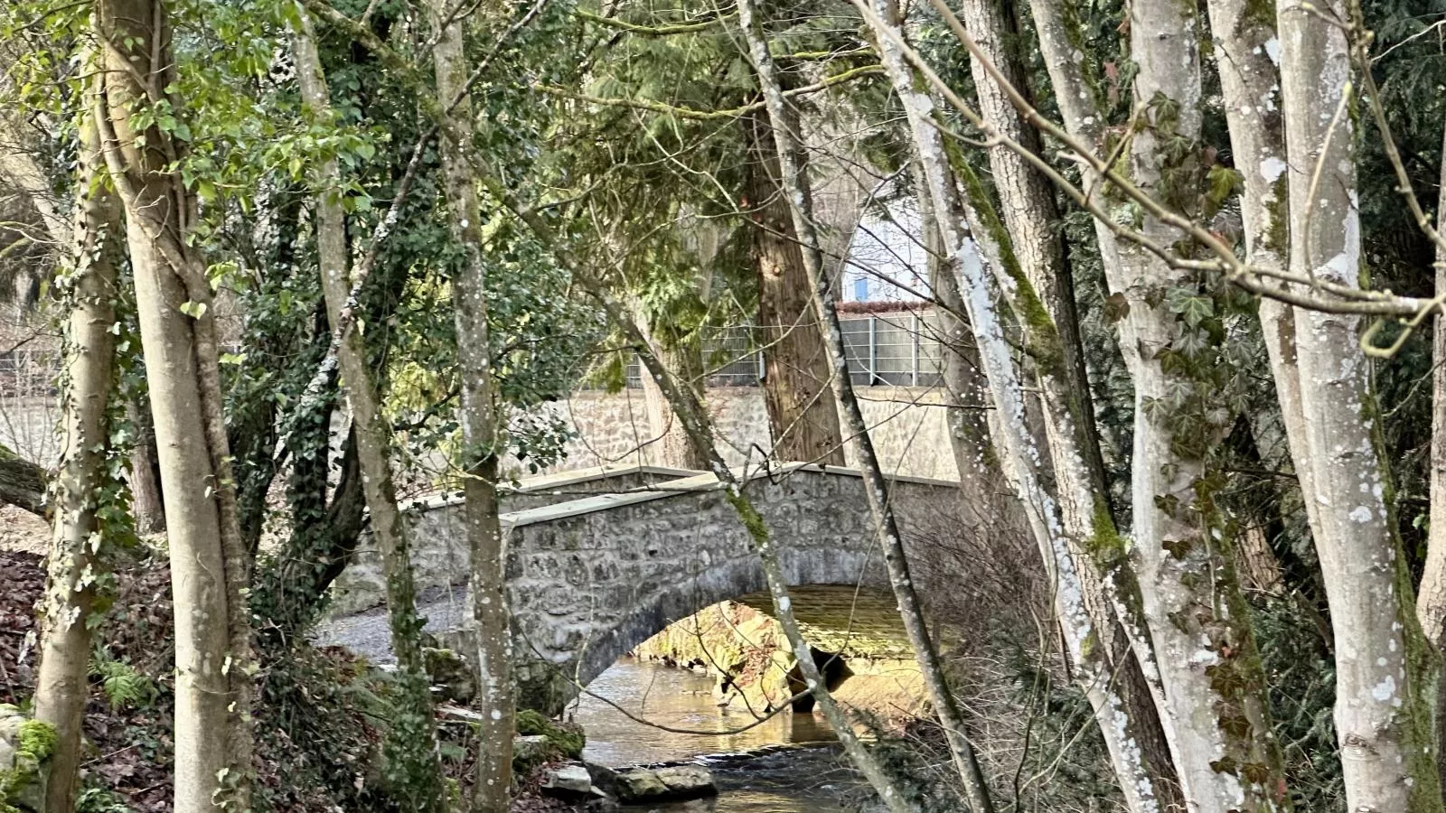 Gite de Montaigle - Gebiet Winter 1 km