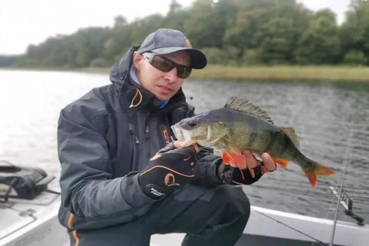 Apartament wakacyjny w Kiedrowicach dla max 6 osób-Gebiete Sommer 1 km