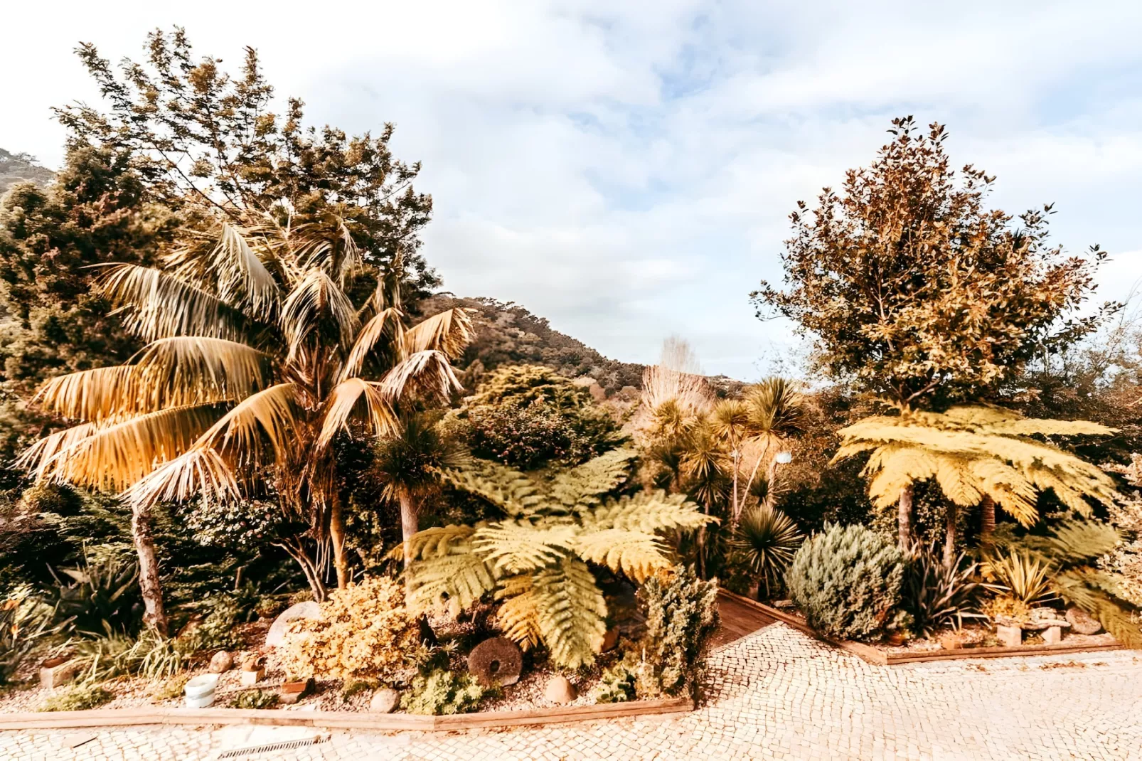 Oliveira's Houses By Gthouse-Im Freien