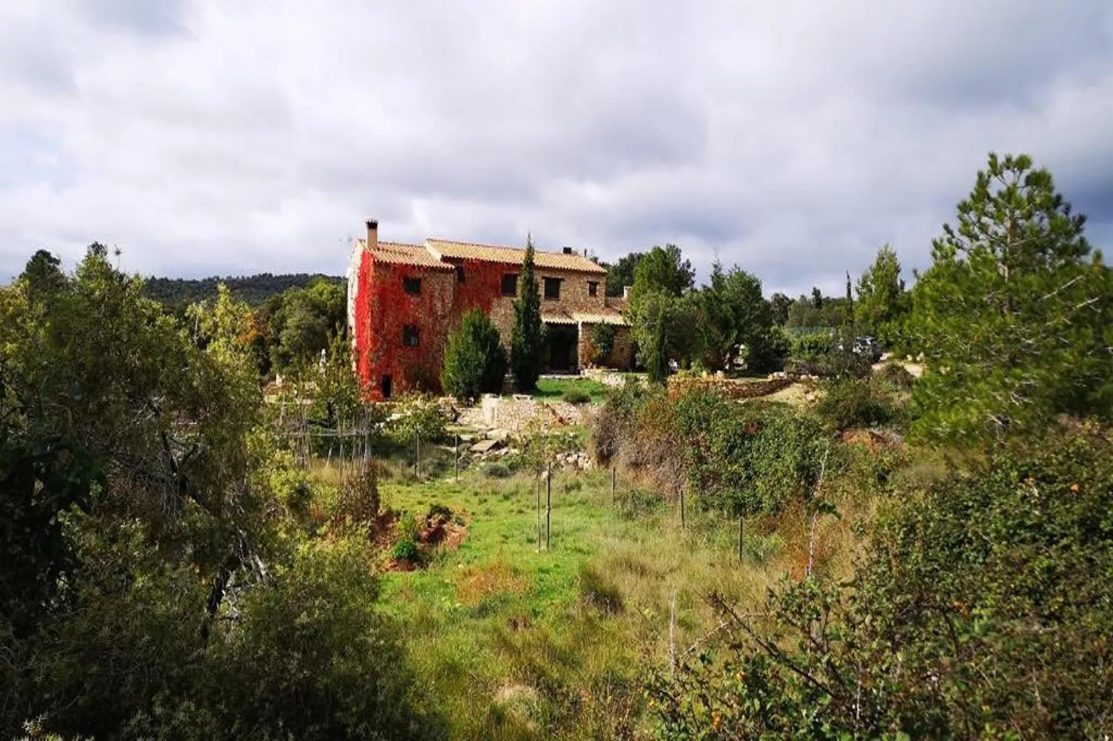 Mas de l'Arlequi - Gardens in summer