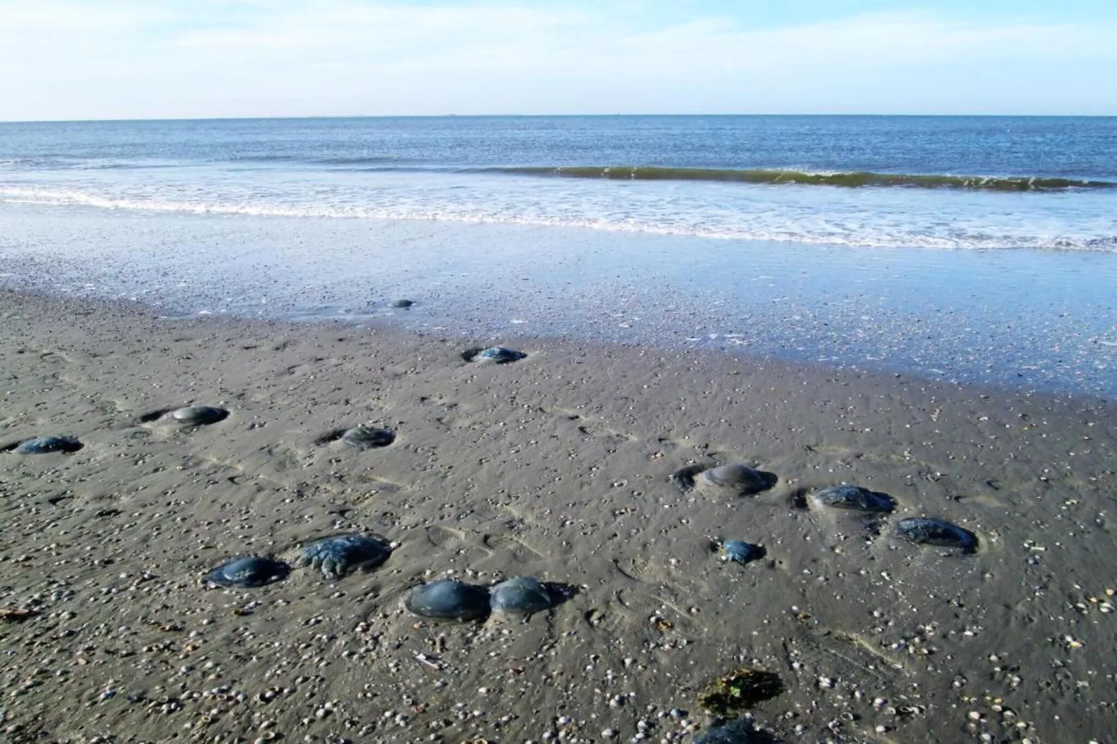 Duinchalet-Gebiete Sommer 20 km