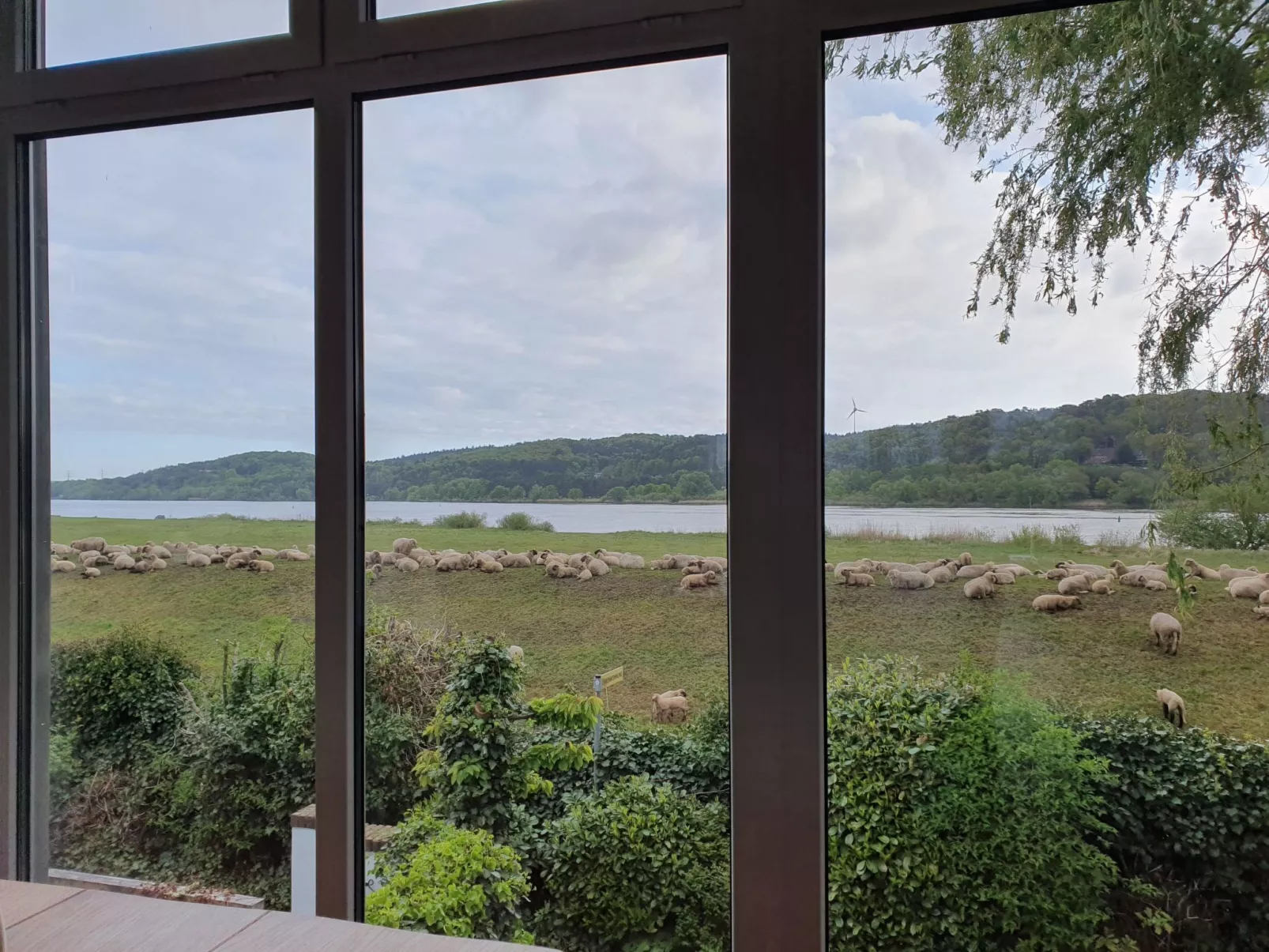 Elbufer - Image-tags.info