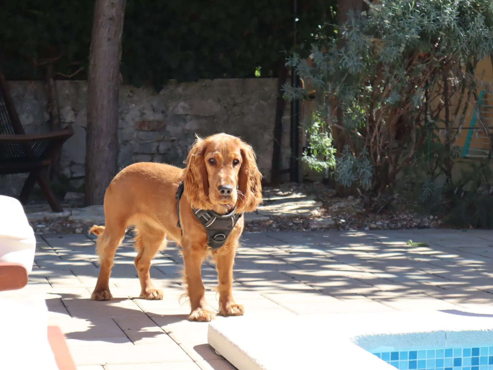 Art House Rovinj-Holiday - Image-tags.info