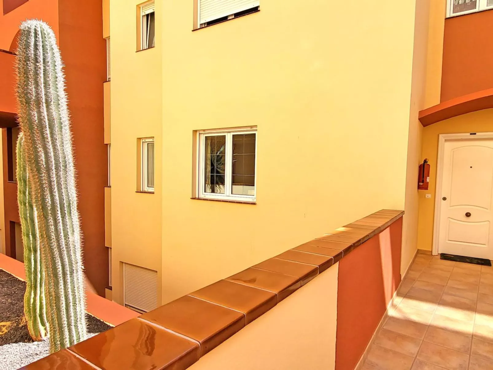 Janida Dream - Image-tags.info