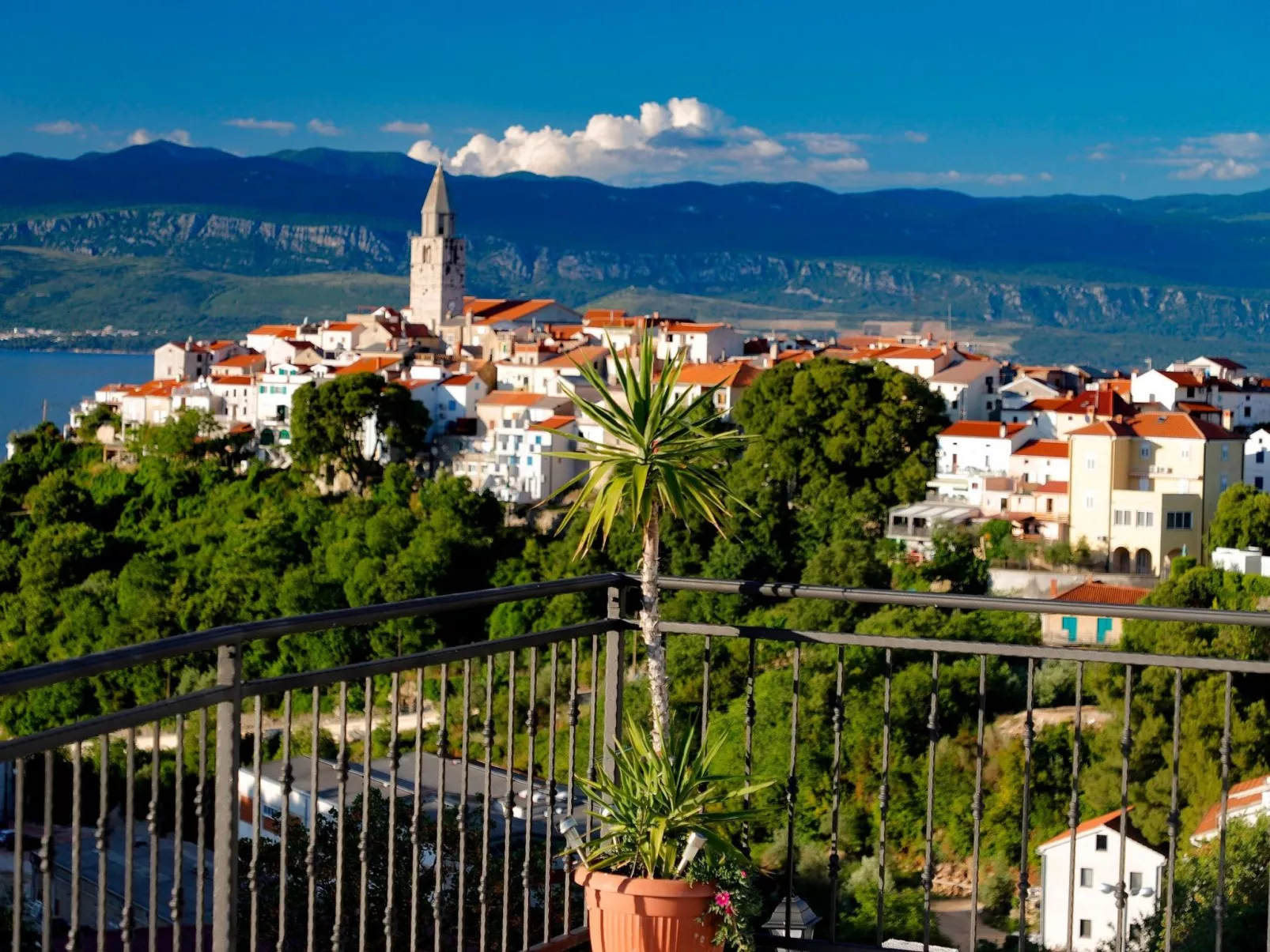 "Mela" mit Blick auf das Wasser - Image-tags.info