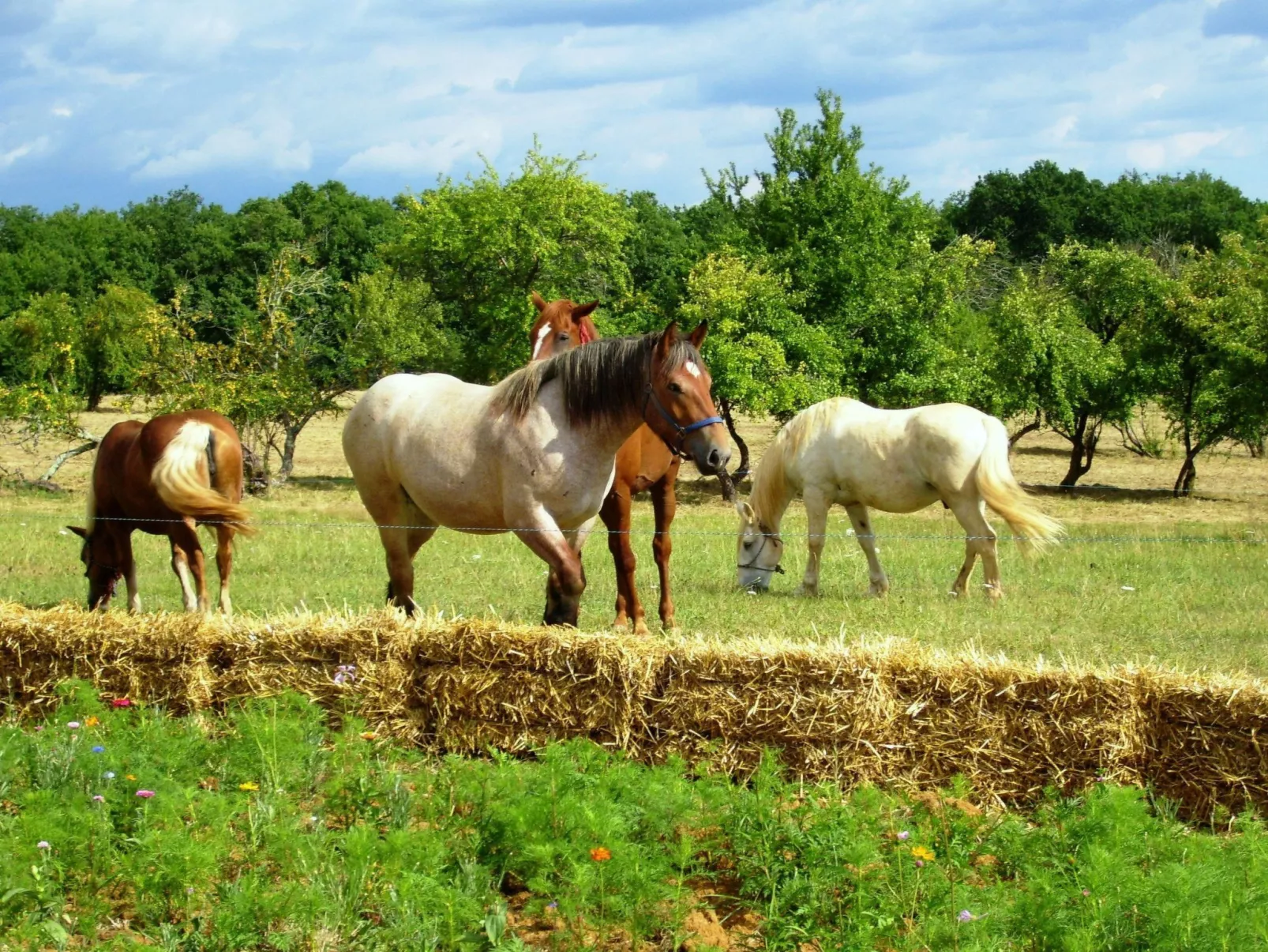 Domaine "La Chatière" mit Jacuzzi - Image-tags.info