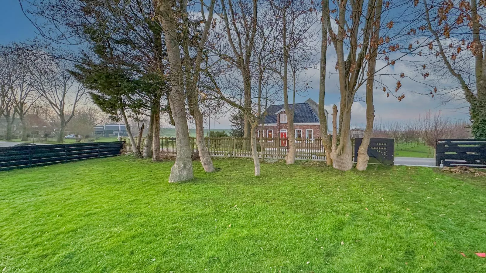 Beets View - Jardins en été