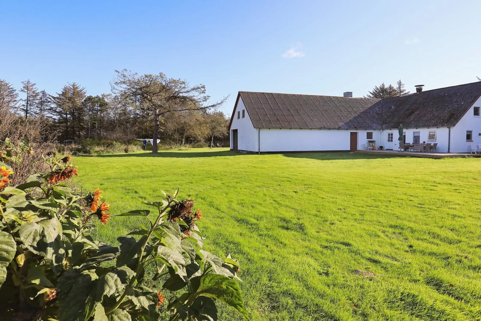 4 person holiday home in Hjørring-View