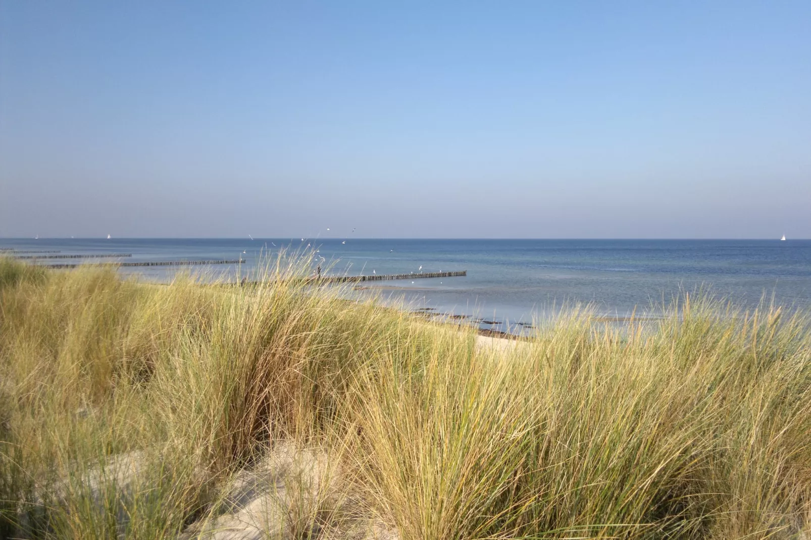 Strandnahes Ferienhaus Walter mit Meerblick-Gebiete Sommer 20 km