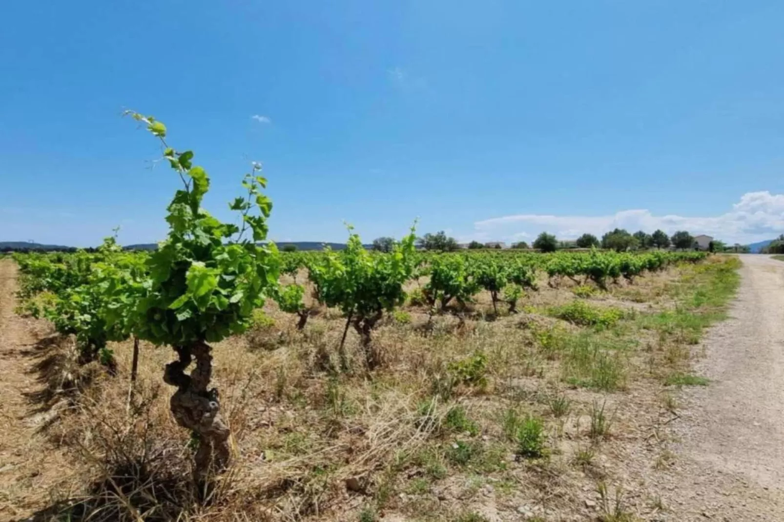 VILLA - FELINES MINERVOIS-Zones été à 5 km