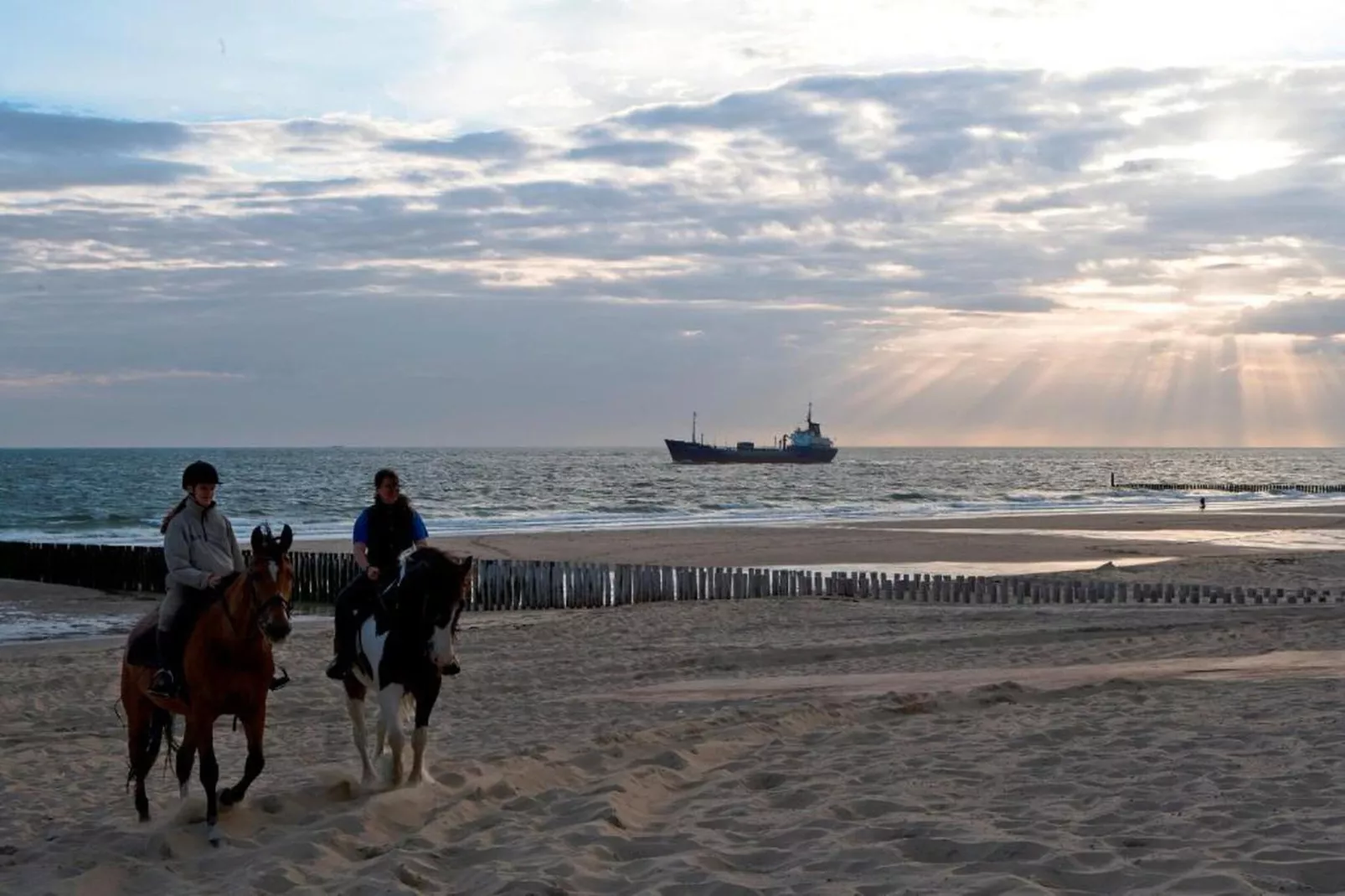 Slaapstrandhuisje - Strand dishoek 68  Dishoek-Areas within 20km in summer