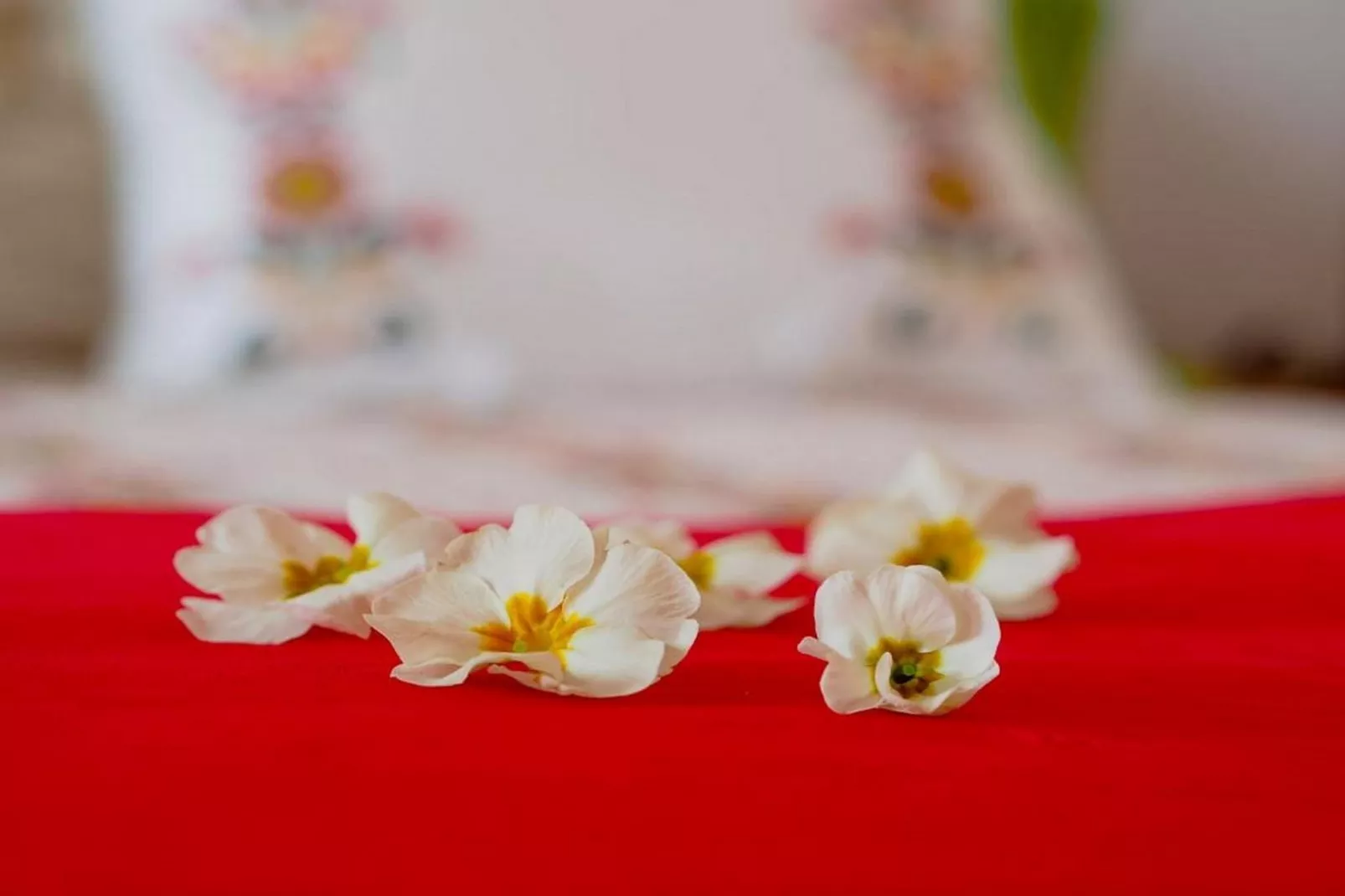 Villa Antonija - Four-Bedroom Villa with Terrace and Private Pool-Intérieur