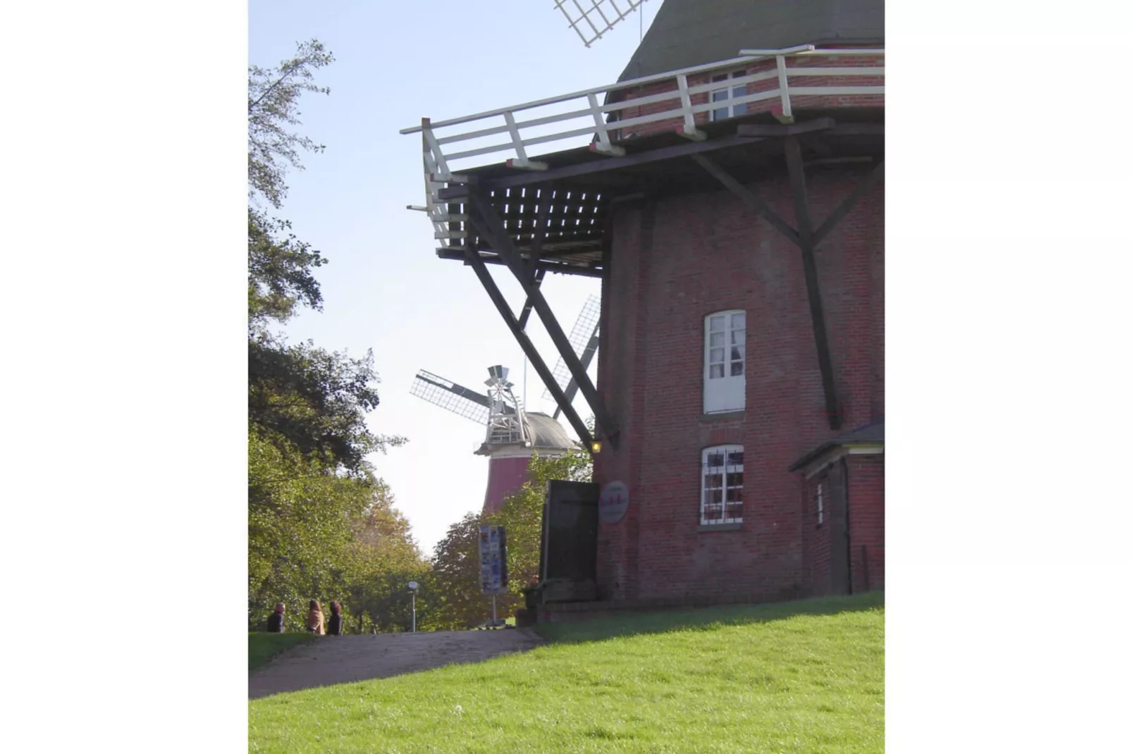 47531-Areas within 5km in summer