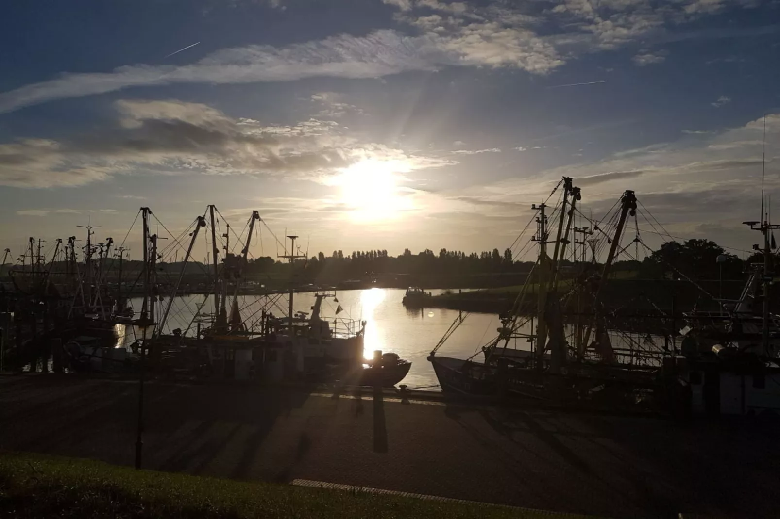 49791-Areas within 5km in summer