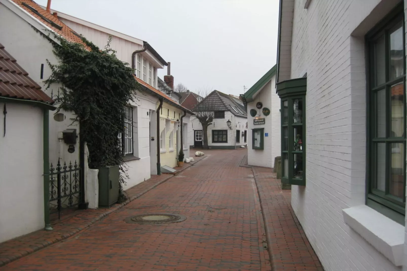 47500-Areas within 1km in summer