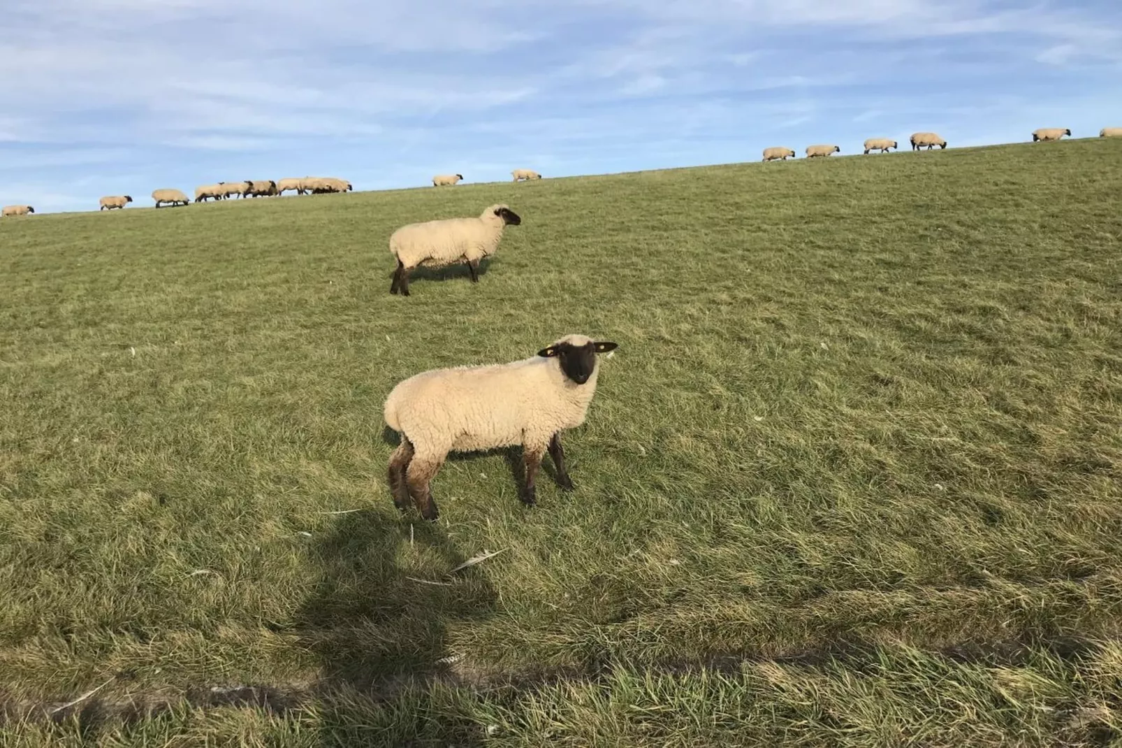 131094-Gebiete Sommer 5 km