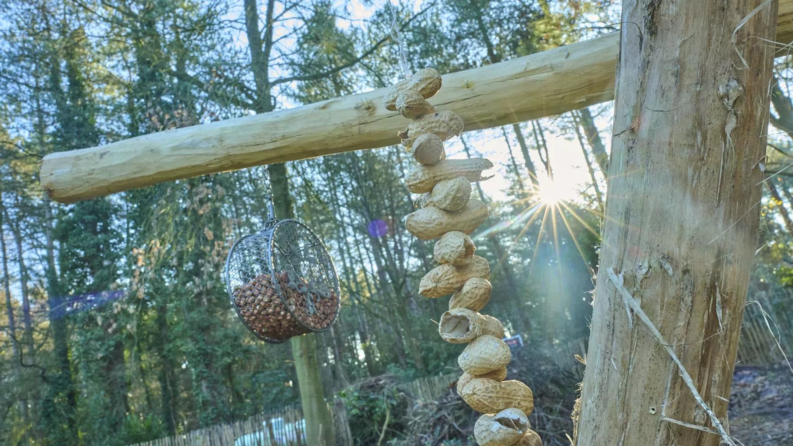 Lierelodge - Jardins en été