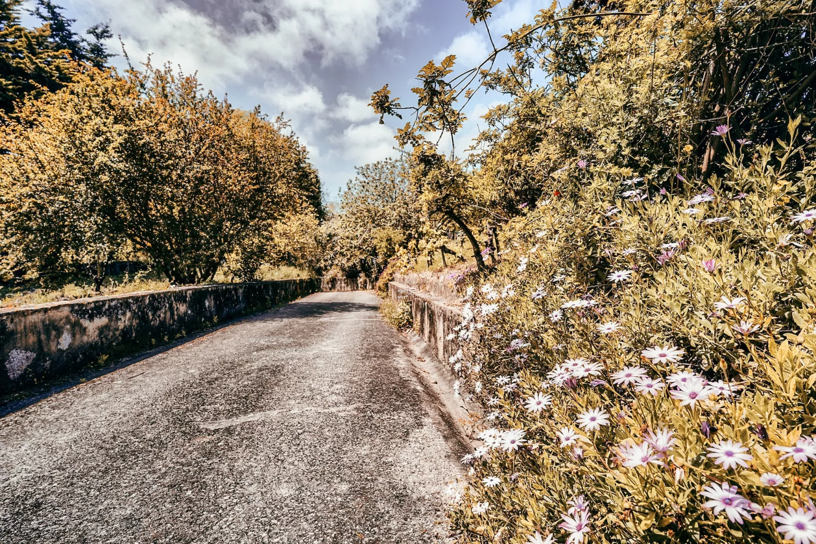 Casa da Rampa By Gt House-Im Freien