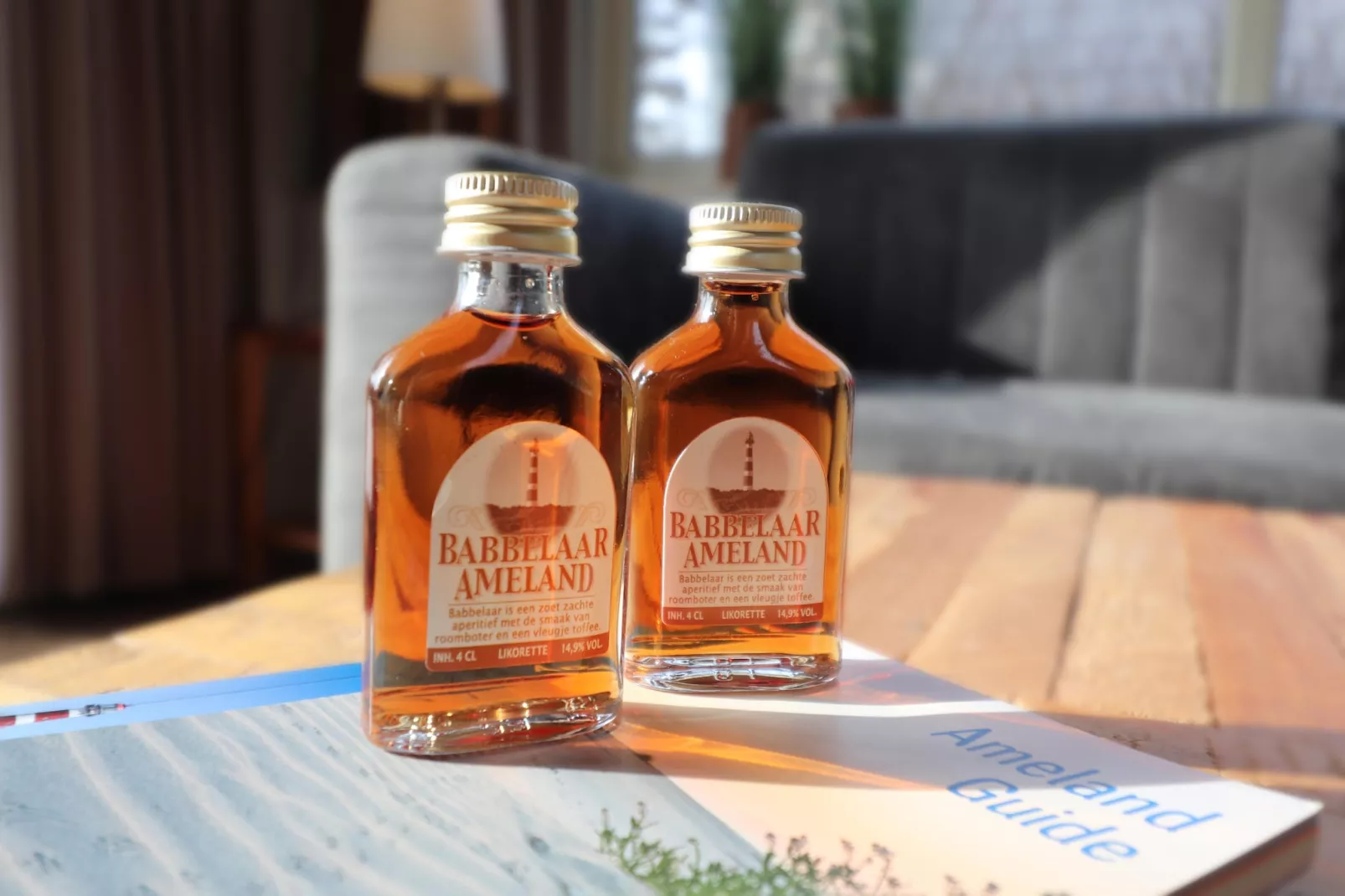 Duinchalet Ameland-Ambiente