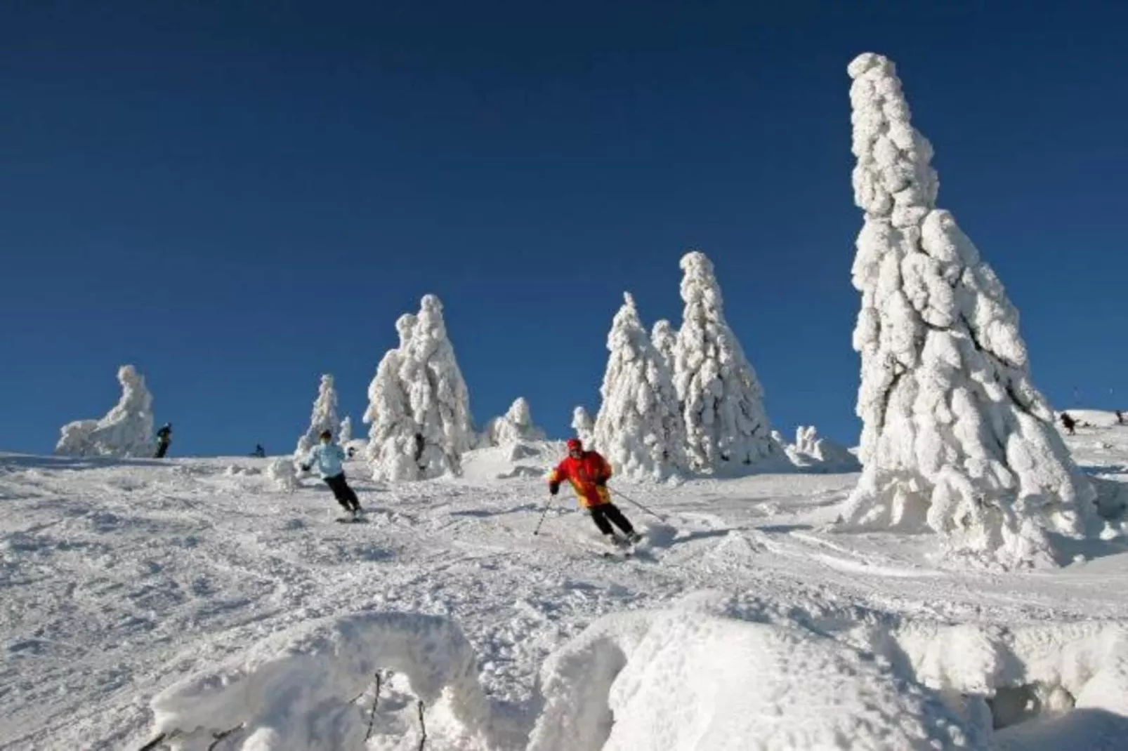 Ferienwohnung in Arrach bei Großer Arber-Gebiet Winter 20 km