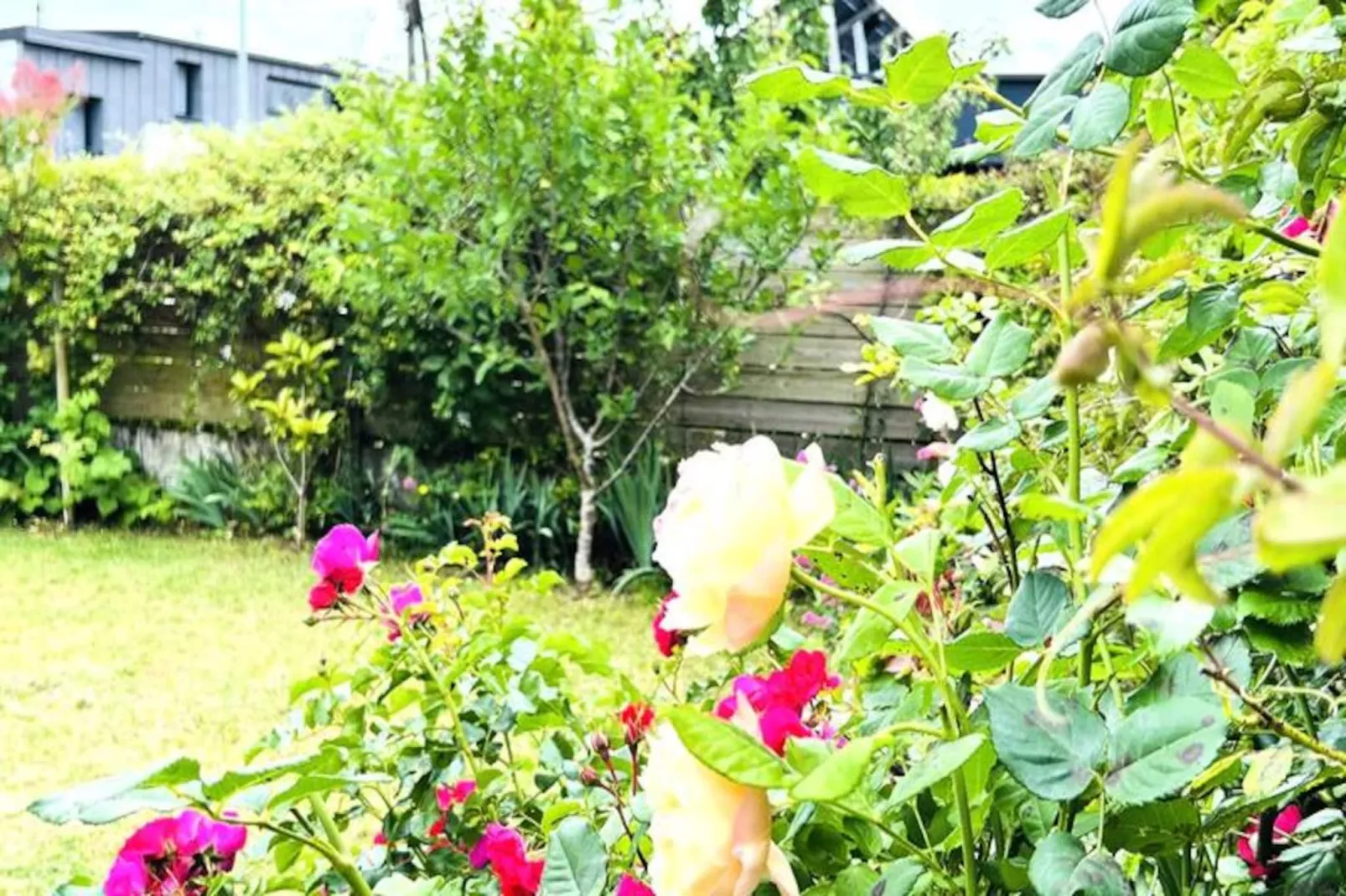 Résidence Ysatis-larmor Plage-Untagged