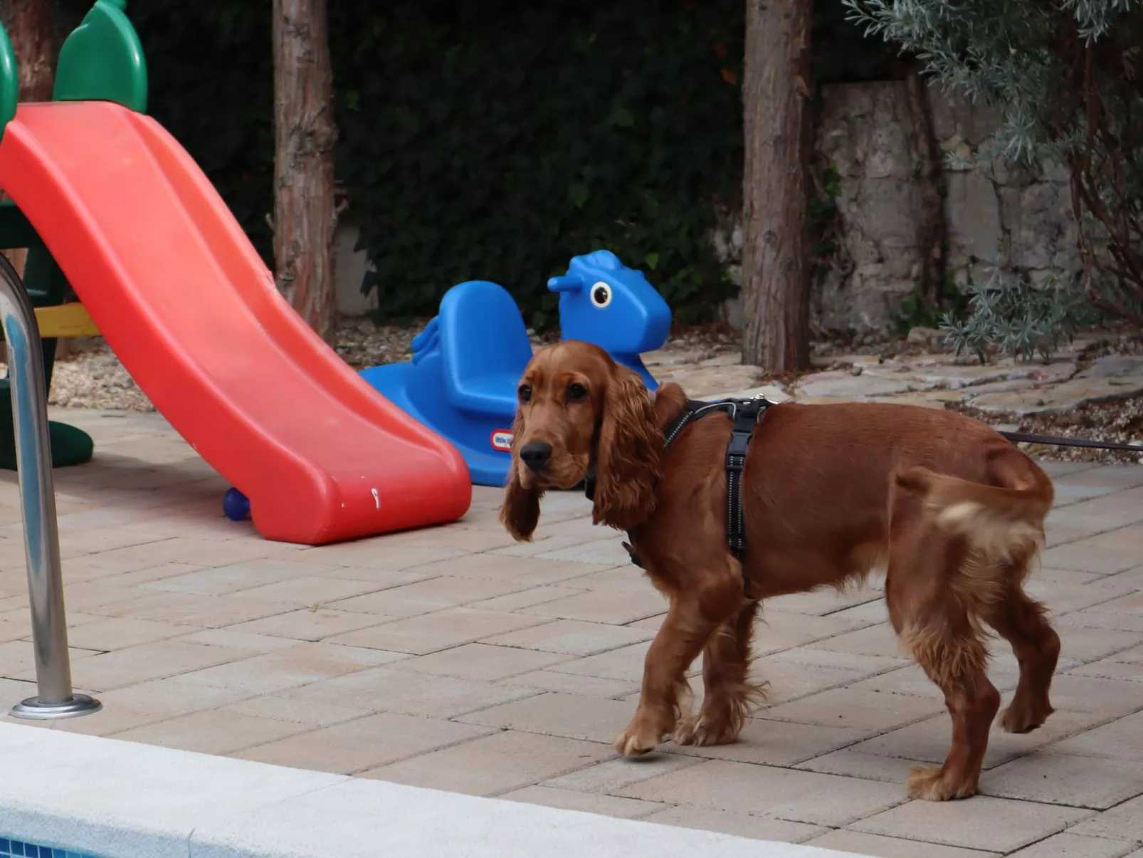 Art House Rovinj-Holiday - Image-tags.info