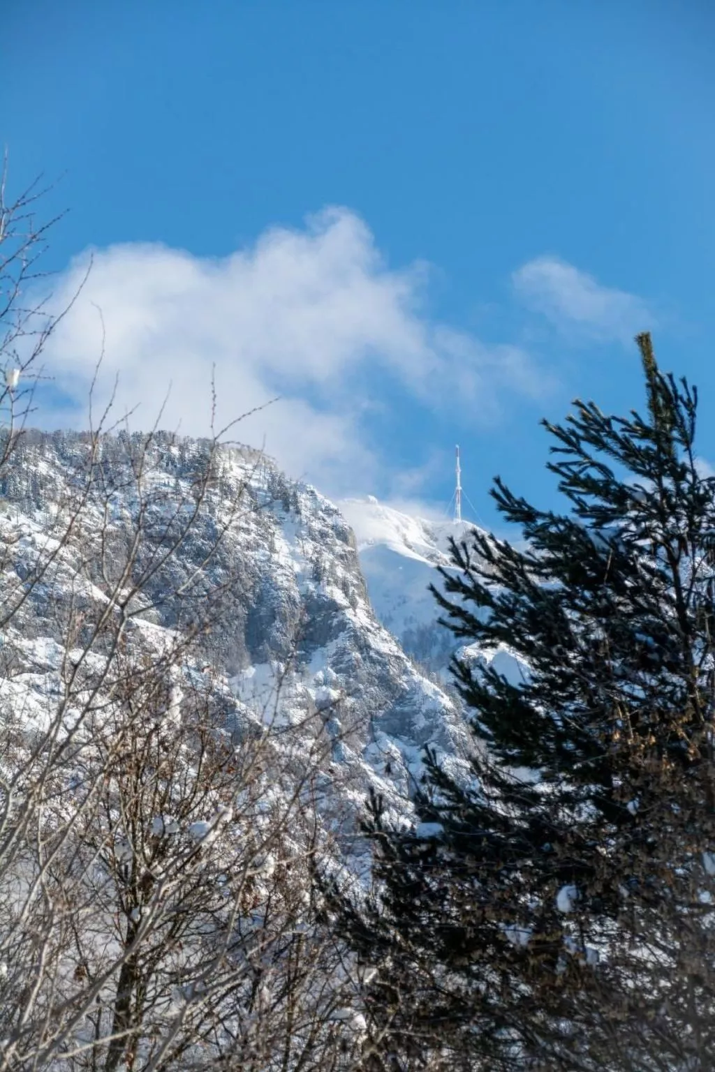 Gartenlodge - Image-tags.info