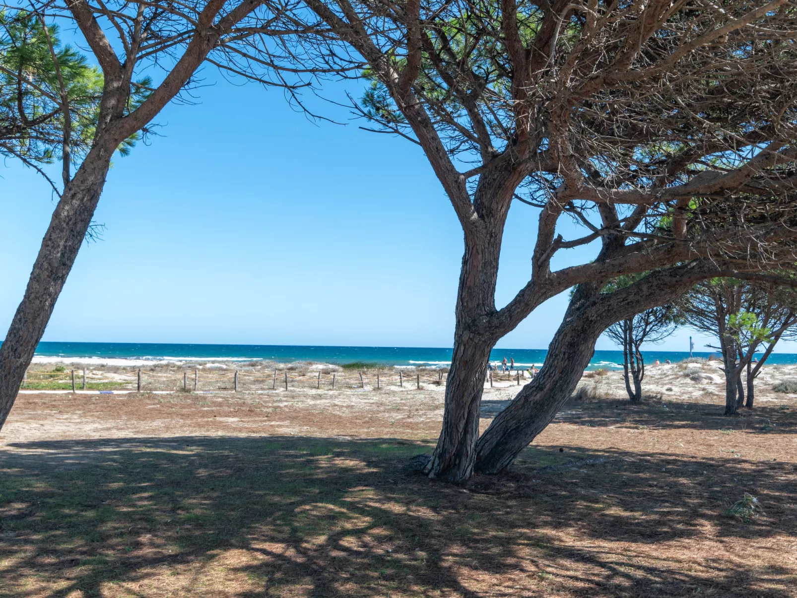 'H51 Family House - Area