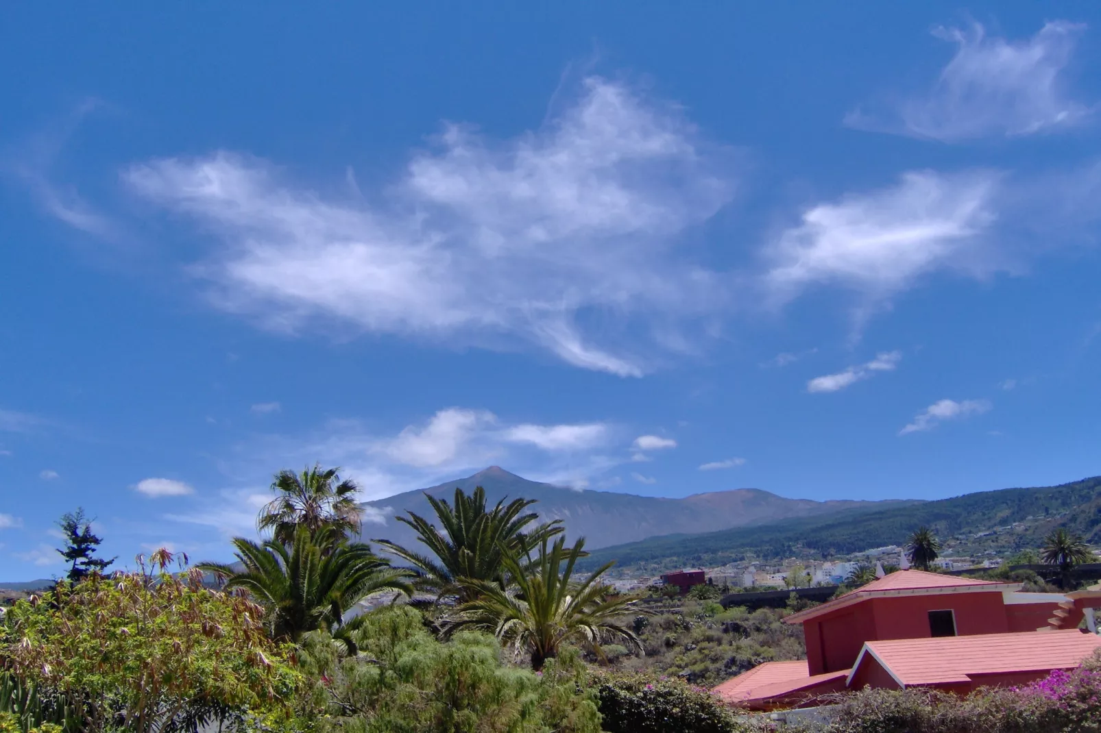 Apartamentos Monasterio de San Antonio 1 - Areas within 20km in summer