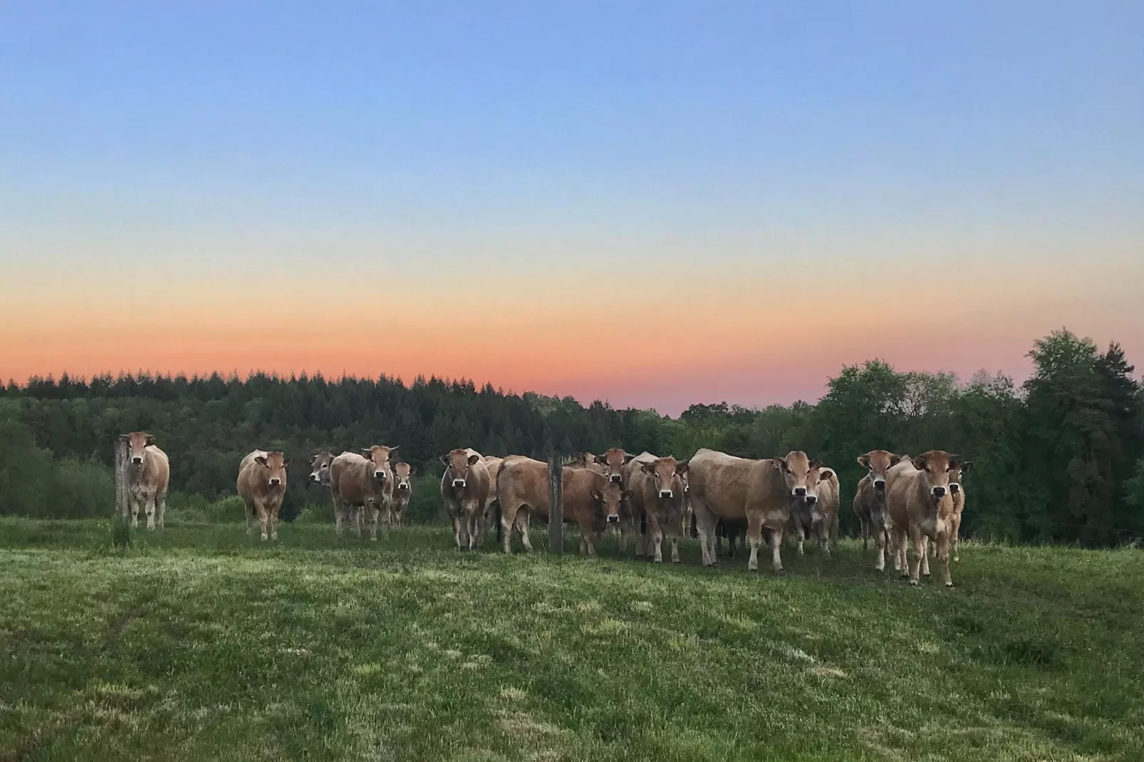 The Grange - Areas within 1km in summer