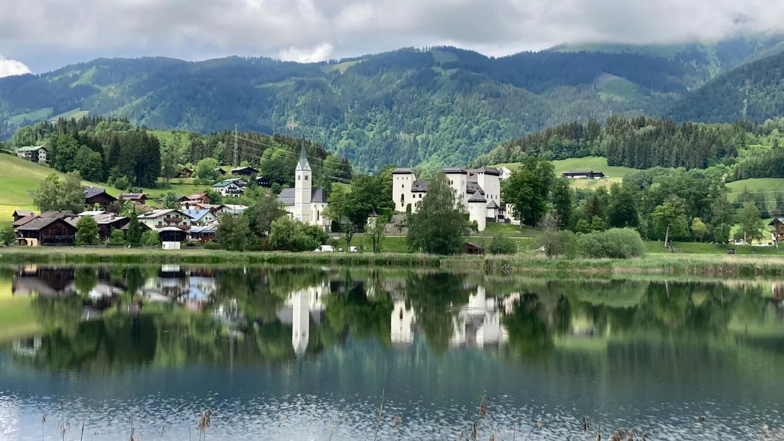 Barney M-Areas within 5km in summer