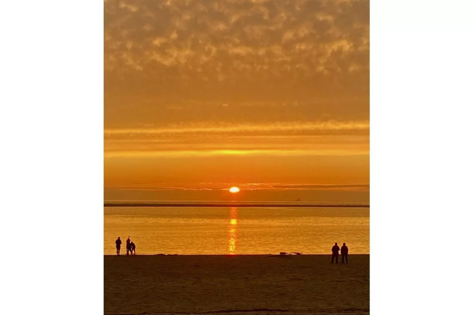 393474-Zones été à 5 km