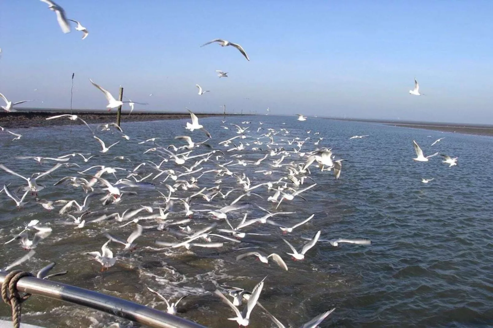 49791-Areas within 5km in summer