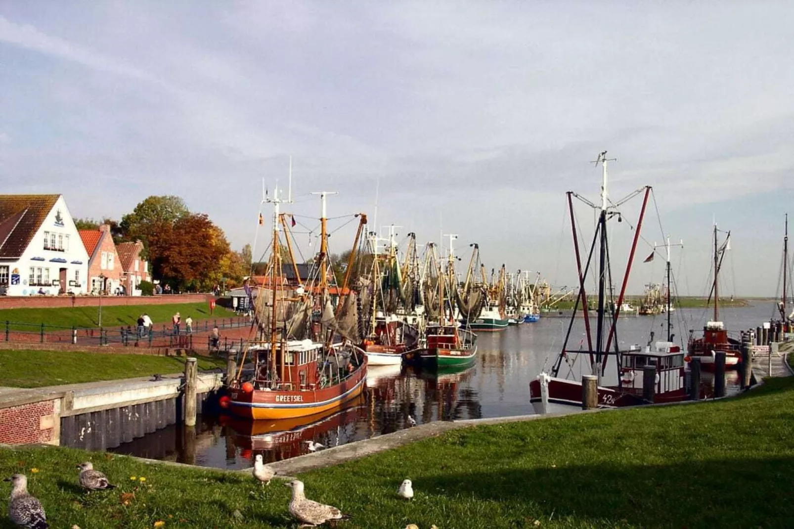 47500-Areas within 5km in summer