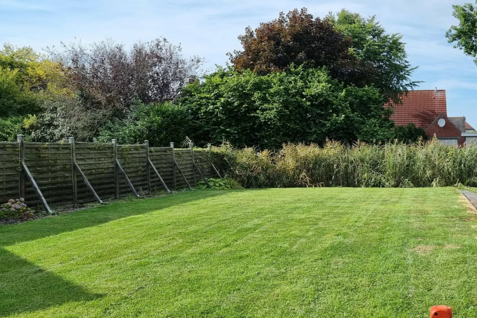 410843-Gardens in summer