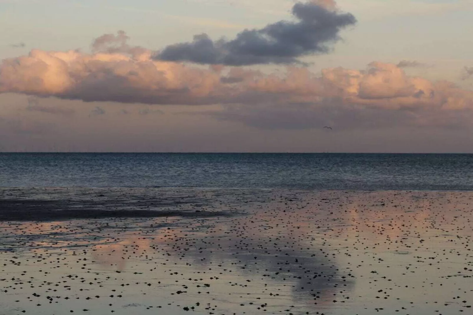 403944-Image-tags.water view