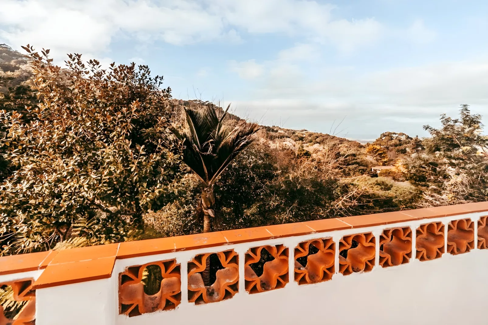 Oliveira's Houses By Gthouse-Terrasse