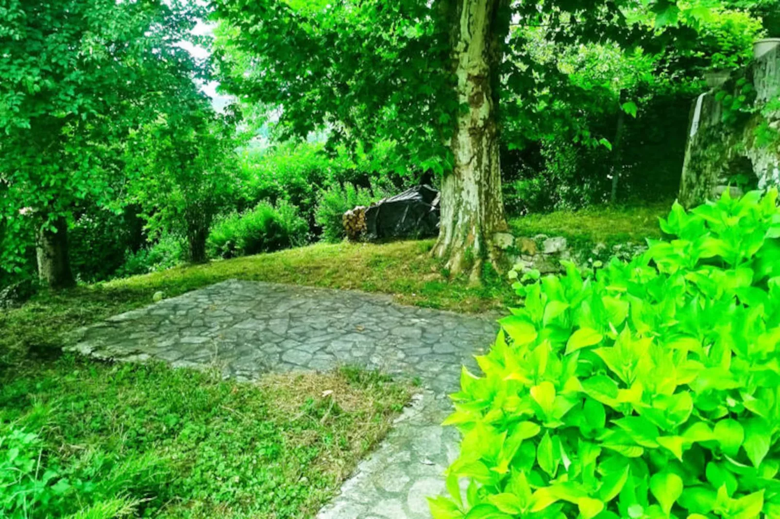 Maison De Charme Ancienne Entre Lacs Et Rh&ocirc;ne-Non tagué