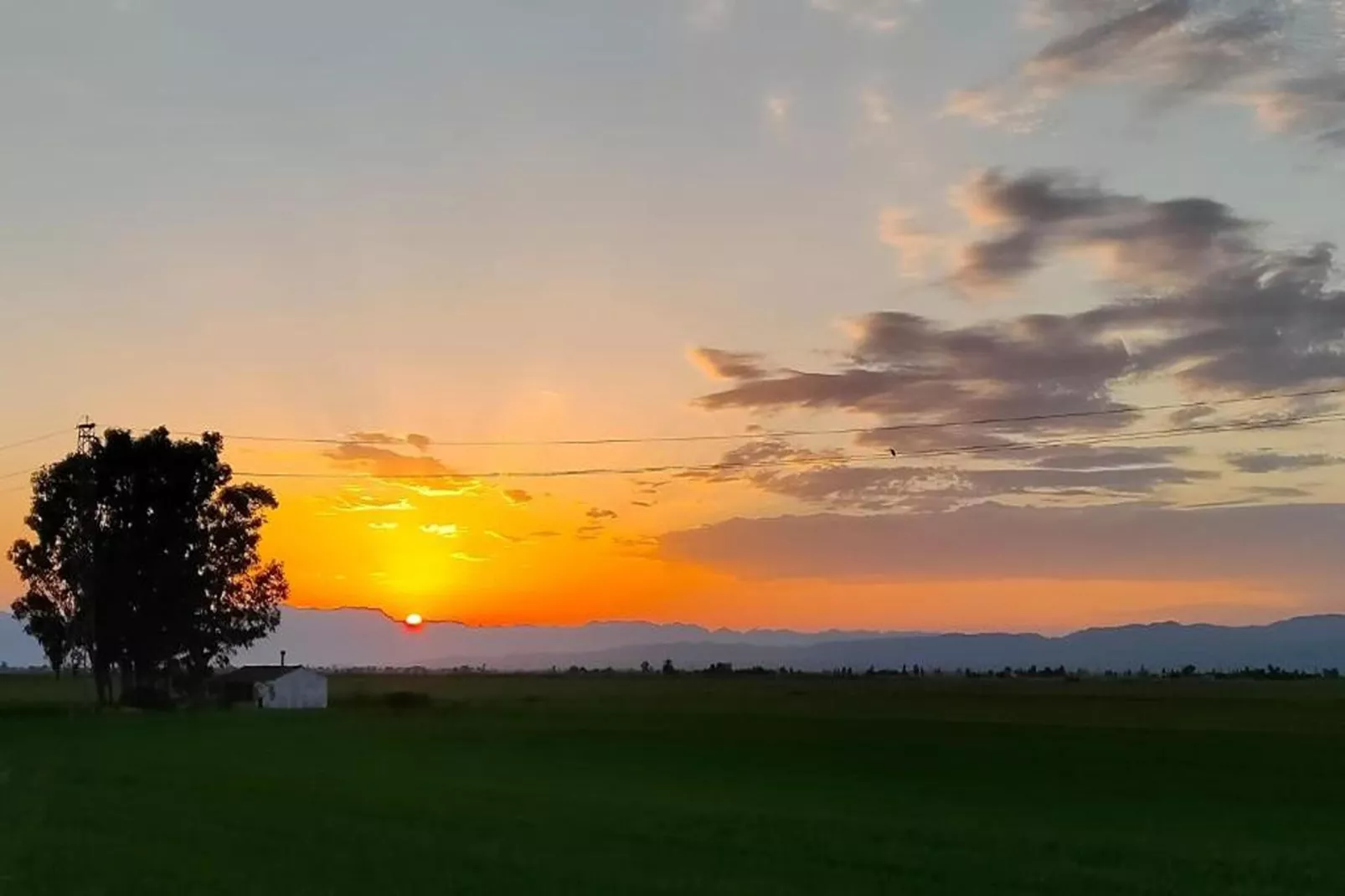 Mas Midó-Aussicht Sommer