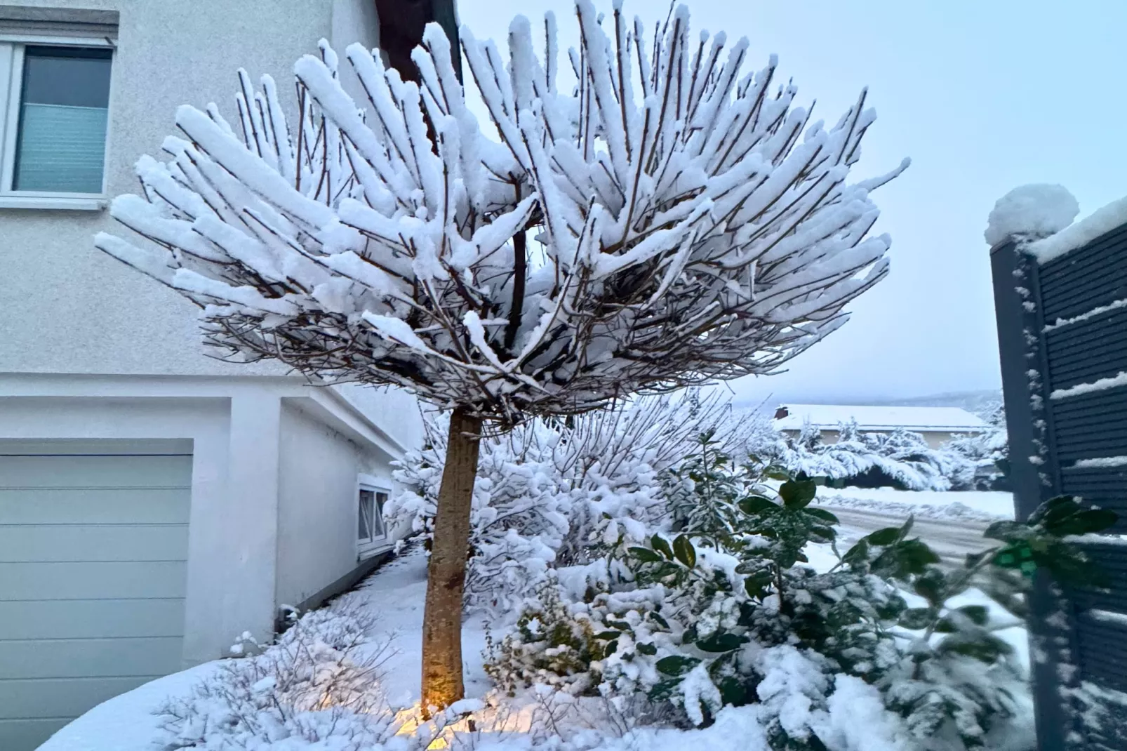 Casa Brocktega in Bestwig - Outdoor