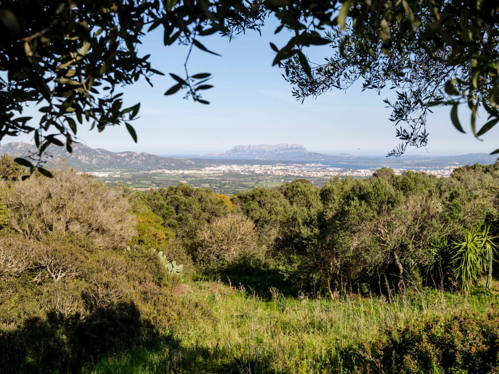 Altes gallurisches Bauernhaus mit Blick auf Olbia - Inside
