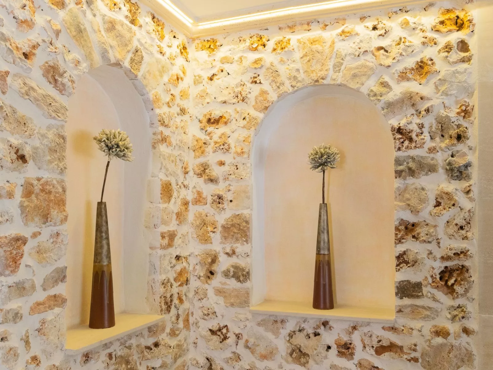 Jardi - Dedans
