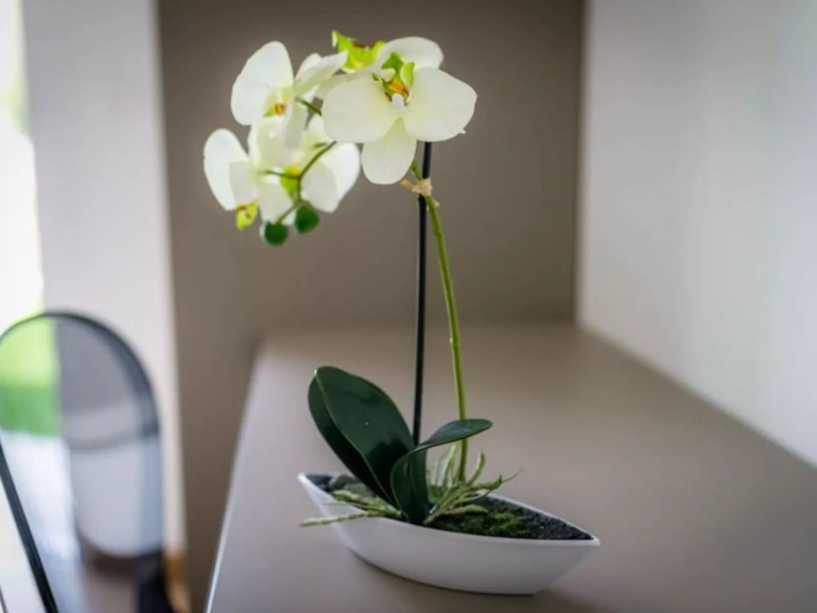 Vila Megy -  ID 2209 - Image-tags.info