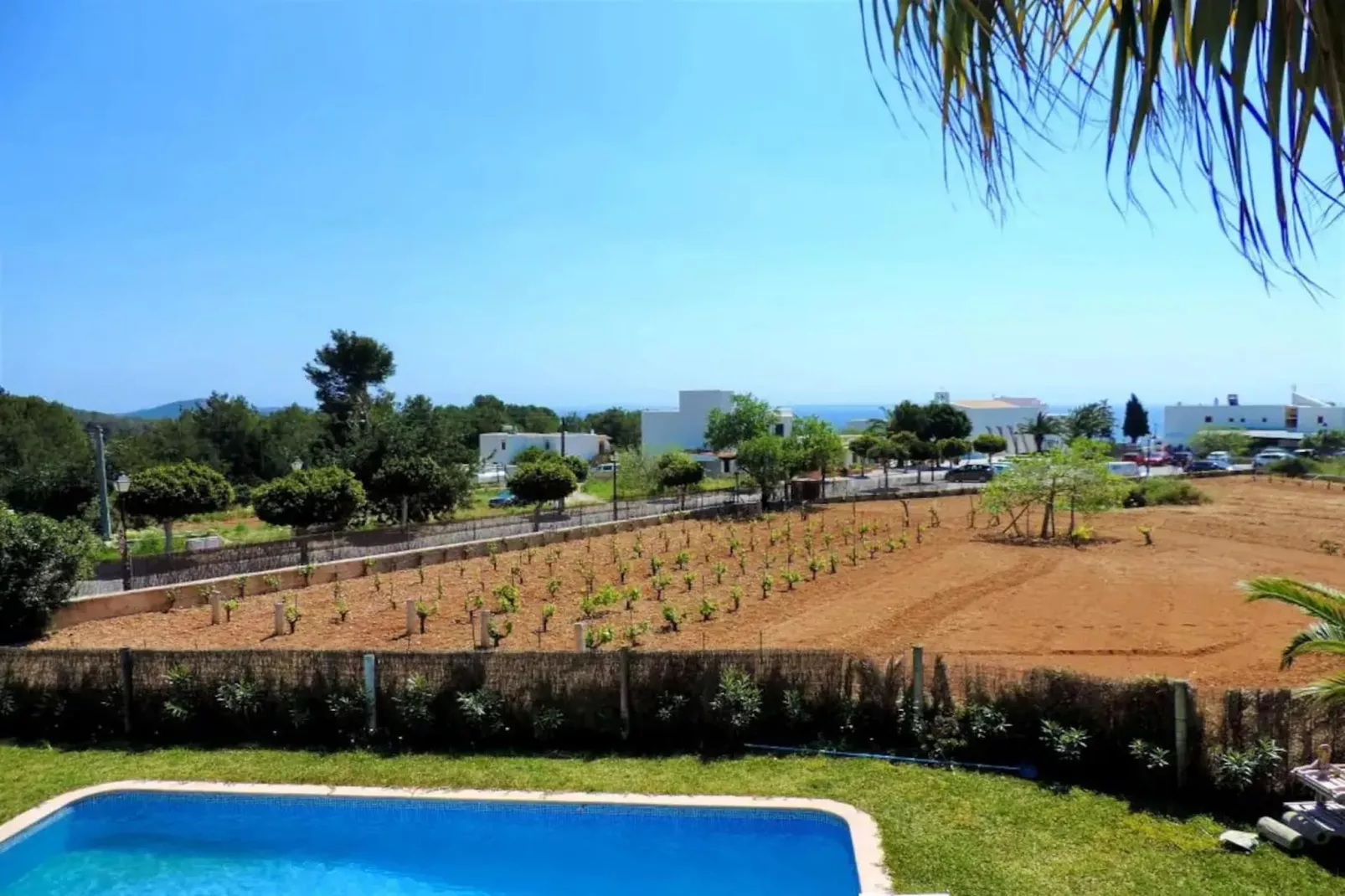 Casa Olivo - Gardens in summer