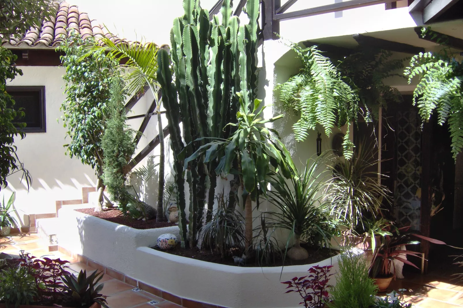 Apartamentos Monasterio de San Antonio 1 - Ambiance