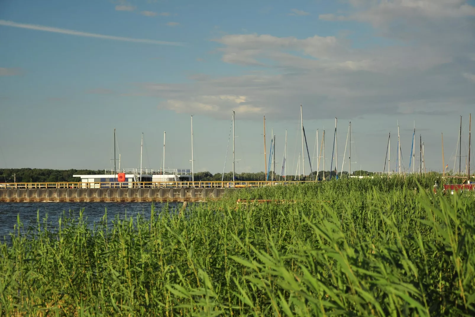 Floating House Rosi - Areas within 1km in summer