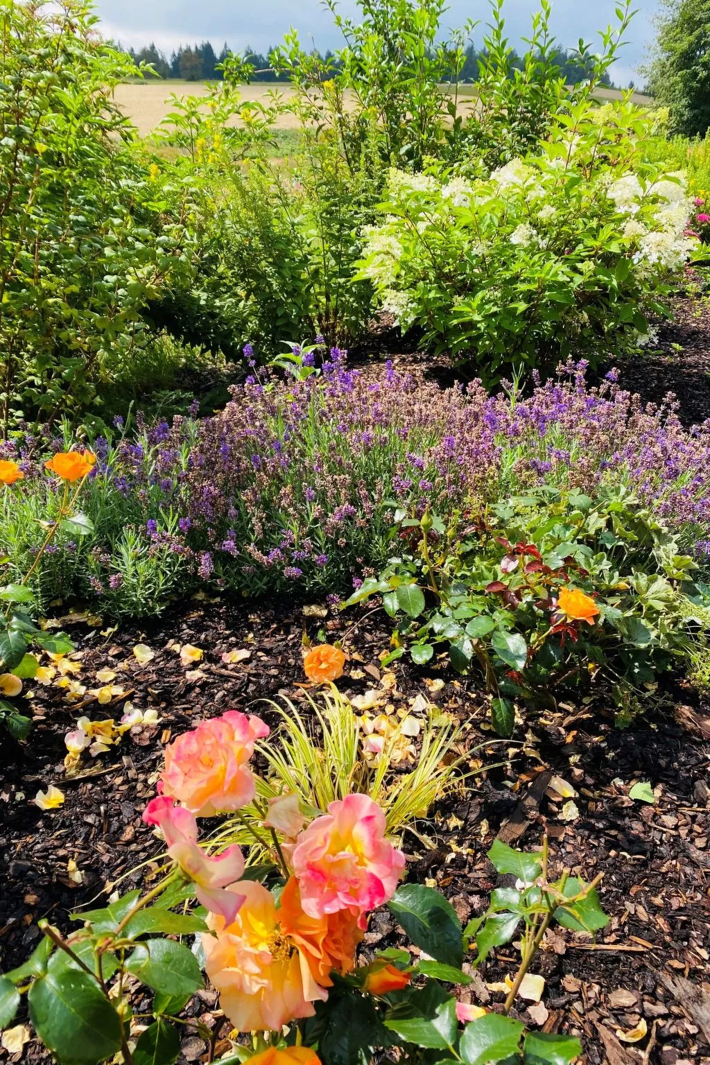 Frankenwald Lodge - Draußen