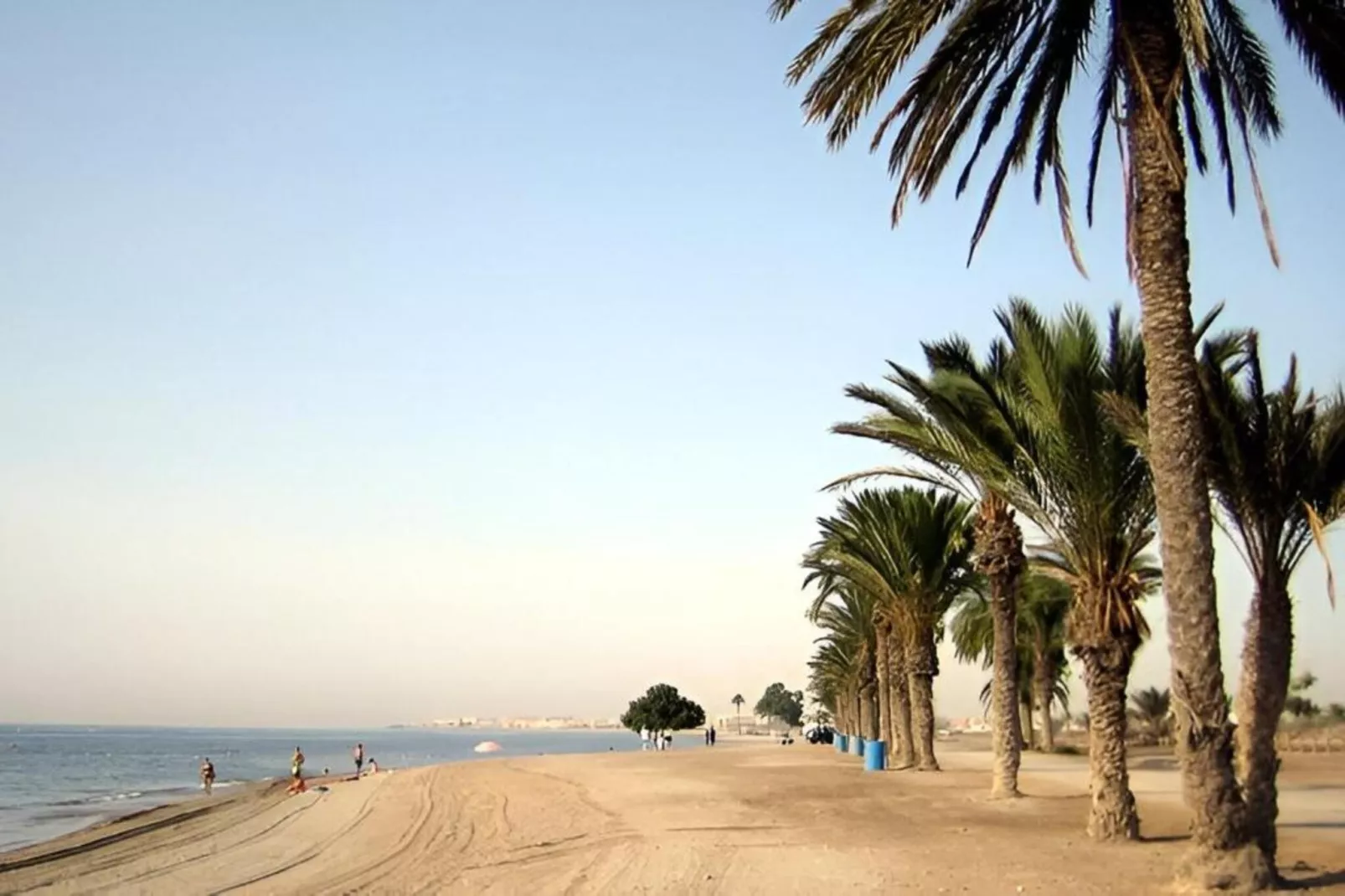 Moguima 2d-Areas within 1km in summer