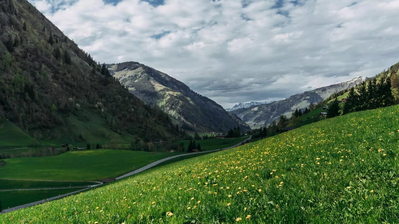 Barney M-Areas within 1km in summer